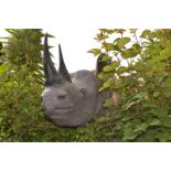 A remarkably lifelike replica of the head of a black rhinoceros with glass eyes,