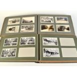 Two photograph albums.