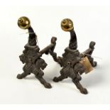 A pair of late 19th century iron fire dogs cast with profile lions heads and with brass ball mounts,