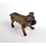 A Viennese cold painted bronze miniature model of a bulldog, length 3.2cm.