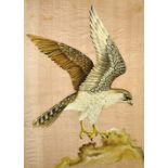 Chinese School
The Eagle Landing
Painting on silk
Signed
91 x 67cm