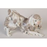 A large Dresden model of a King Charles spaniel No.A97091, height 19cm. Condition Report: There is