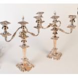 A pair of candelabra each with three nozzle candelabrum insert.