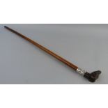 A malacca cane walking stick, with carved dog's head handle and silver ferrule, hallmarked London