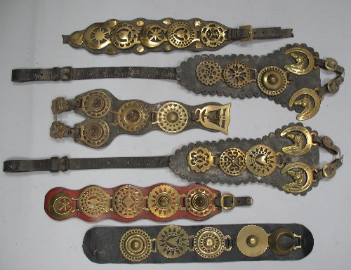 Six five-brass leather martingales (6)