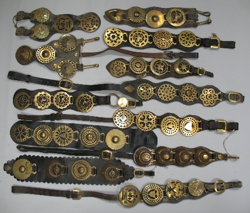 Twelve four-brass leather martingales (12)