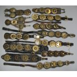 Twelve four-brass leather martingales (12)