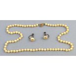 A single strand pearl necklace, of uniform beads with 9ct gold clasp, 50cm long in associated box