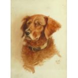 20th century school, portrait of a golden retreiver, monogrammed watercolour dated 1931, 37.5cm x