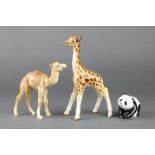 A Beswick figure of a standing camel 5 1/2", a ditto of a baby giraffe 7 1/2" and a crawling panda