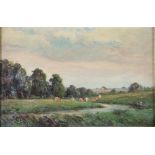J R D. 19, oil painting on board, a river landscape with cattle, inscribed on verso St Albans 6 1/2"