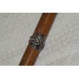 unusual swagger stick with horse racing interest