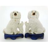 A pair of Victorian Staffordshire seated white spaniels with small begging dog to side, both on a