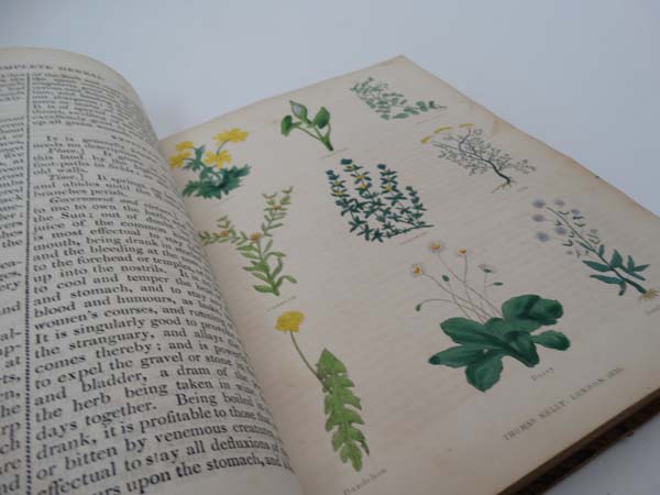Book: ''The Complete Herbal'' by Nicholas Culpeper M.D.  c1850. Published by Thomas Kelly , - Image 6 of 7