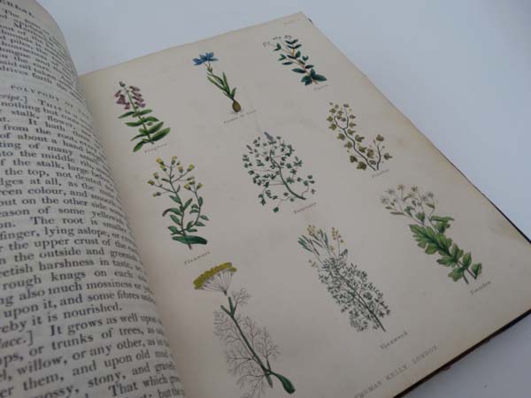 Book: ''The Complete Herbal'' by Nicholas Culpeper M.D.  c1850. Published by Thomas Kelly , - Image 5 of 7