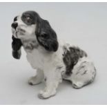 Dogs: A ceramic model of a dog formed as a seated black and white Cocker Spaniel. Marked made in