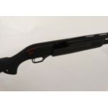 Shotgun : A Winchester ( Istanbul Silah ) , Turkey SXP 12 bore pump - action ( three shot )