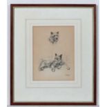 Dogs: After K F Barker c. 1940
Dog Print
' Tired ' a wired haired Terrier resting Bears label