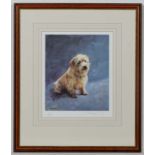 Dogs: Pippa Thew XX
Limiited Edition coloured print 22/500
' Stay , Norfolk Terrier '
Numbered and