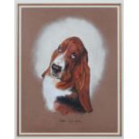 Dogs: Debbie Gillingham (1965)
Pastel on paper
Portrait of a Basset Hound
Signed lower right
12 x 9"