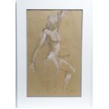 Neil Wardle XX,
Charcoal and chalk,
Standing Nude ,
Signed in pencil lower right,
27 1/4 x 17".