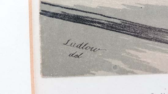 After Joseph William Ludlow (1840-1915),
For Robert Fulton's ' The Book of Pigeons ',
5 x - Image 7 of 7