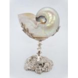 An early 20thC nautilus shell on stand, the silver plate pedestal stand with cast decoration