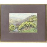 K F Coleman ( Eary - mid XX),
Watercolour,
Gorse growing within a valley,
Signed lower right,
9 1/2"