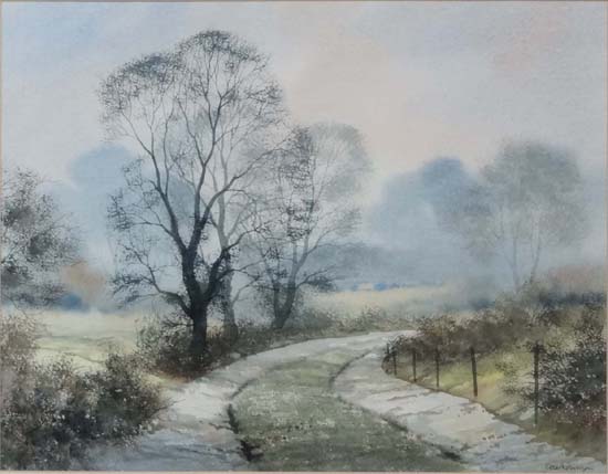 Peter Robinson XX,
Watercolour,
' Evening Shadows ',
Signed lower right, titled to mount and has - Image 3 of 4