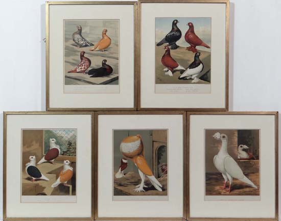 After Joseph William Ludlow (1840-1915),
For Robert Fulton's ' The Book of Pigeons ',
5 x - Image 6 of 7