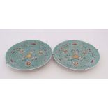 A pair of 20th C Chinese hand painted enamel decorated plates. 10'' diameter. (2) CONDITION: