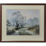 Peter Robinson XX,
Watercolour,
' Evening Shadows ',
Signed lower right, titled to mount and has