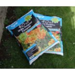 Gardening : 2 x bags of compost