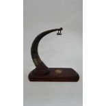 Taxidermy : a silver plate , mahogany and horn gong stand with shield shape cartouch on a mahogany