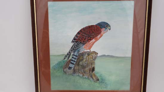 D Cole (XX)
Watercolour
'Seychelles Kestrel'
Signed lower right
10" x 9 1/4" CONDITION: Please - Image 2 of 2