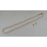 An Akoya cultured  pearl necklace with silver gilt pearl stud earrings. The necklace 18" long