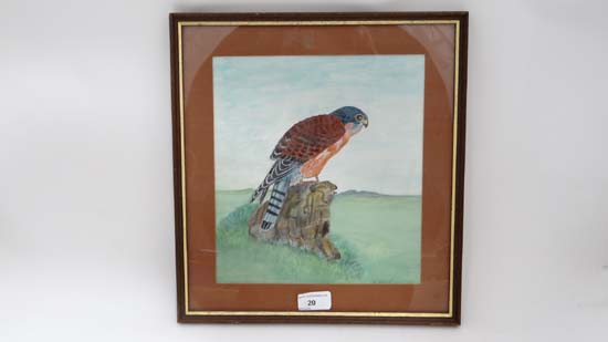 D Cole (XX)
Watercolour
'Seychelles Kestrel'
Signed lower right
10" x 9 1/4" CONDITION: Please