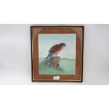 D Cole (XX)
Watercolour
'Seychelles Kestrel'
Signed lower right
10" x 9 1/4" CONDITION: Please