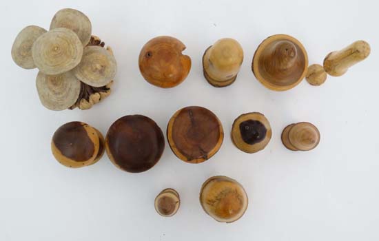 12 assorted toadstool groups made from turned wood. Some signed, to include toadstools made from - Image 3 of 7