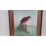 D Cole (XX)
Watercolour
'Seychelles Kestrel'
Signed lower right
10" x 9 1/4" CONDITION: Please