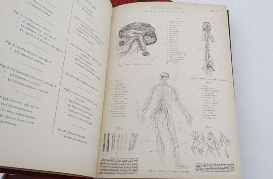 Books: 4 volumes of '' The Home Teacher : a Cyclopedia of Self Instruction ''. c1890. Including - Image 7 of 8