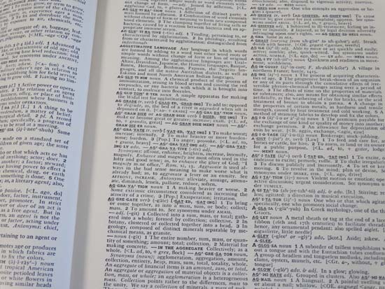 Books: 2 1952 edition volumes of  '' New Practical Standard Dictionary of the English - Image 8 of 13