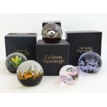 Caithness paper weights etc : Four Caithness boxed paperweights to include ' Flower in the