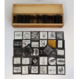 A collection of 81 educational Magic lantern slides on a biological and botanical theme ,