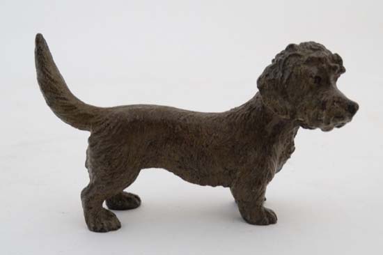 A Vienna cold painted bronze of a Dandie Dinmont dog . Indistinctly marked under 3 1/2" long