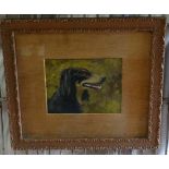 Indistinctly Signed C. 1930
Oil on board
Portrait of a Black and Tan Borzoi dog head
Signed lower