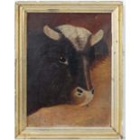 XIX Continental Naive School,
Oil on board,
Portrait head of a bovine bull with horns,
7 3/4 x 5 3/