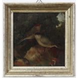 C. 1800 Ornithological School 
Oil on tin 
Ornithological portrait of a male and female Blackcap (