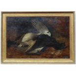 Josiah Rushton (1864-1909)
Oil on canvas
Game birds , a Black Grouse ( Blackgame /Black cock ) and a