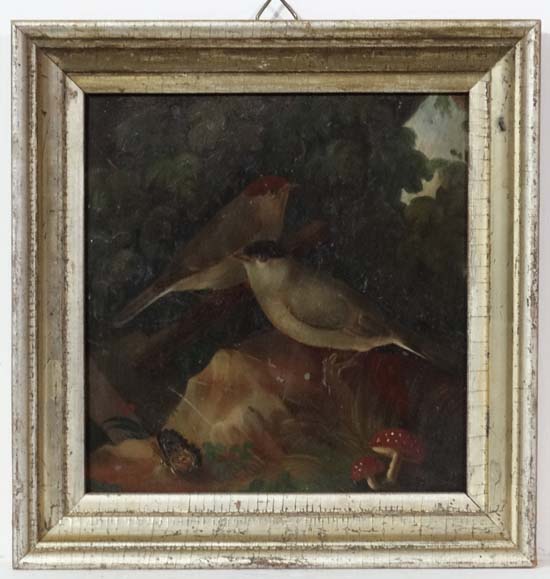 C. 1800 Ornithological School,
Oil on tin, 
Ornithological portrait of a male and female